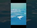 Ocean in blender #blenderlovers #animation #viral  #friendshipquotes #shortsvideo #funny #shortvideo