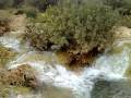Algerie Tourisme 2009 - Les cascades de Tirni - Tlemcen