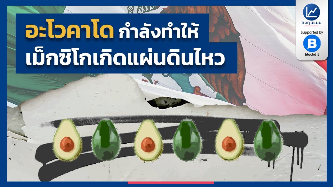 อะโวคาโด กำลังทำให้เม็กซิโก เกิดแผ่นดินไหว