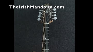 The Mug Of Brown Ale - a jig in A Dorian, tabbed for mandolin and played by Aidan Crossey