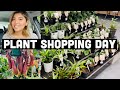 COME PLANT SHOPPING WITH ME | WYEE NURSERY & BUNNINGS PLANT TOUR