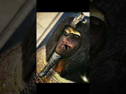 حاجه غريبه لاحظتها فى تابوت اخناتون اكسبلور النظافه دويتو الثامن قصص