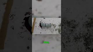 Cold puppy won't leave the porch #dog #snow #relatable