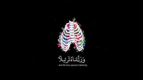 قرآن كريم بصوت خالد الجليل ⚡♥ أجمل حالات واتس اب دينية مقاطع دينية قصيرة مقاطع انستقرام دينية