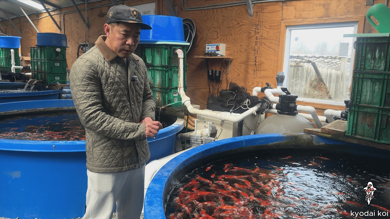 Cách Để Nhận Dạng Được Cá Của Khách !! Và Những Ưu Đãi Cho Năm Mới