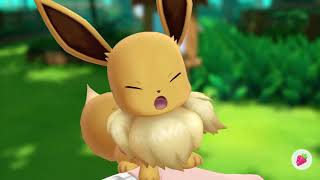 Eevee Gets Mad