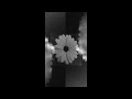 ayta sözeri - büklüm büklüm // slowed reverb