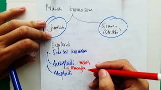 Mutasi adalah perubahan yang terjadi pada bahan genetik baik tingkatan
gen maupun tingkat kromosom. disebut titik, s...