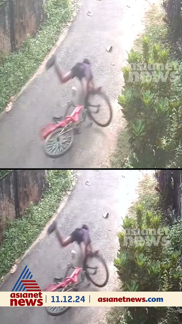 സൈക്കിളിന് പിന്നാലെ കുരച്ചുകൊണ്ട് തെരുവുനായ്ക്കള്‍; മറിഞ്ഞുവീണ് കുട്ടിക്ക് പരിക്ക്