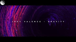 Joey Valence - Gravity (feat. RO)