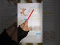 علوم للصف السادس الابتدائي الجهاز العضلي صفحة ٦٨ مع حل مراجعة الدرس قناتي الثانية وقناتي ع التل 