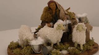 Sitting pastor toasting sheep in series movement 15 cm video