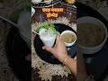 घर में तैयार छाछ मसाला #bigtent #minivlog #travel #recipe #funny #lowgi #dietmeal #nodiet #dietlife