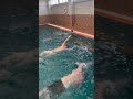 Bucket turn