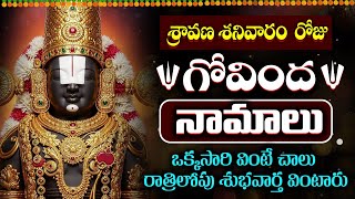Download Lagu LIVE : శనివారం ఉదయాన్నే గోవింద నామాలు వింటే కోటీశ్వరులు అవుతారు | Venkateswara Govinda Namalu MP3 Download Lagu LIVE : శనివారం ఉదయాన్నే గోవింద నామాలు వింటే కోటీశ్వరులు అవుతారు | Venkateswara Govinda Namalu MP3
