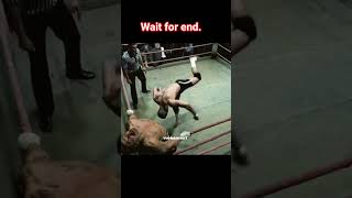 My Favorite Player Mma