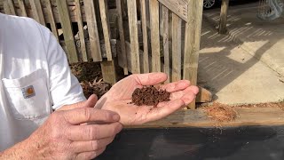 Flint And Steel Igniting Fungus, A Quicker Way?