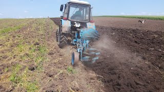 Приорюємо стерню озимого ячменю.МТЗ 892+Lemken Opal 90 # lemken #mtz