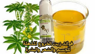 كل ما تريد معرفته عن زيت الخروع huile de ricin