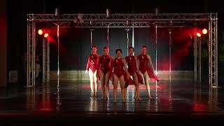 Acrobatic - The Dance Project