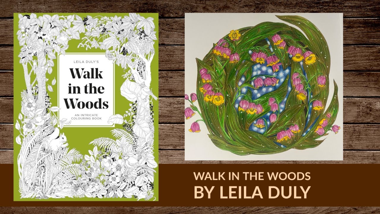 Walk in the woods by Leila Duly ~ Review and flip through