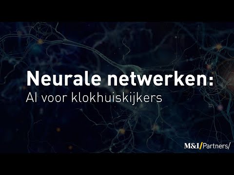 Video: Waarom 'n neurale netwerk gebruik?