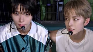 재희가 나무라면… 저는 나비