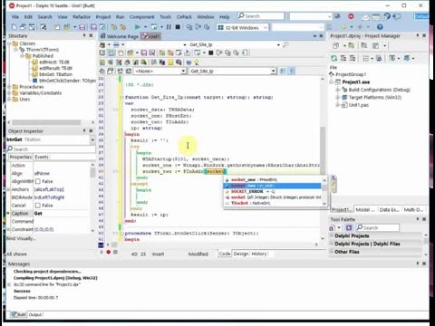 How to Get Site IP - Delphi 10