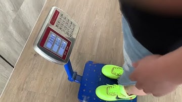 plastic foldable crate for fruit and vegetable transport