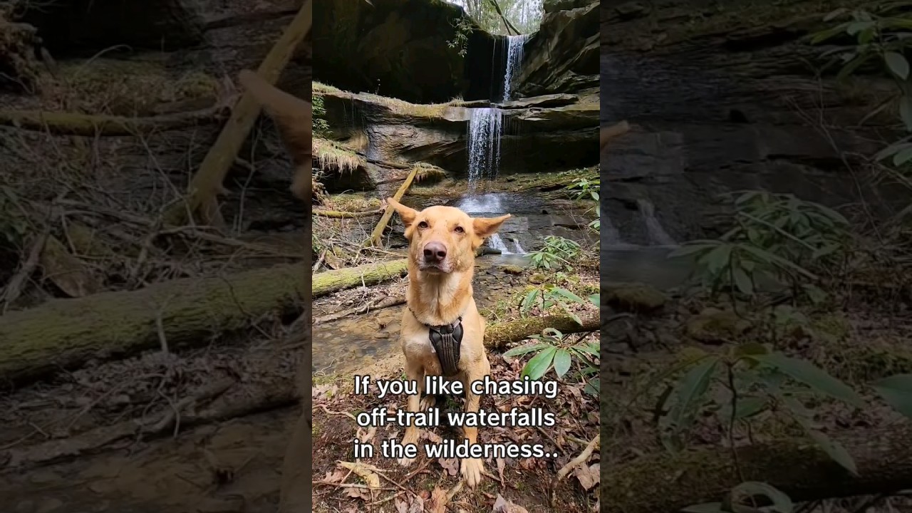 Wilderness Waterfalls are better 🤷‍♂️ 