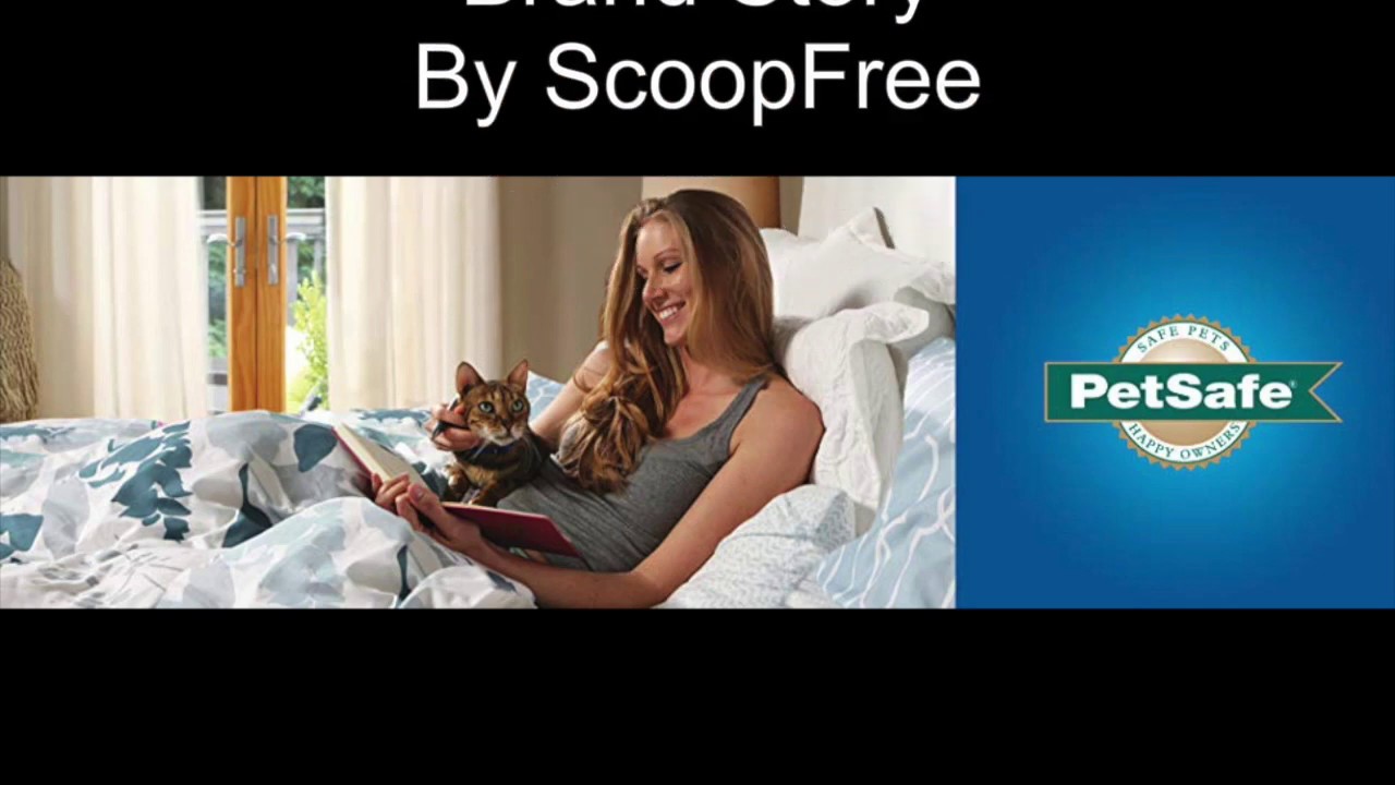 Cat Litter Box YouTube