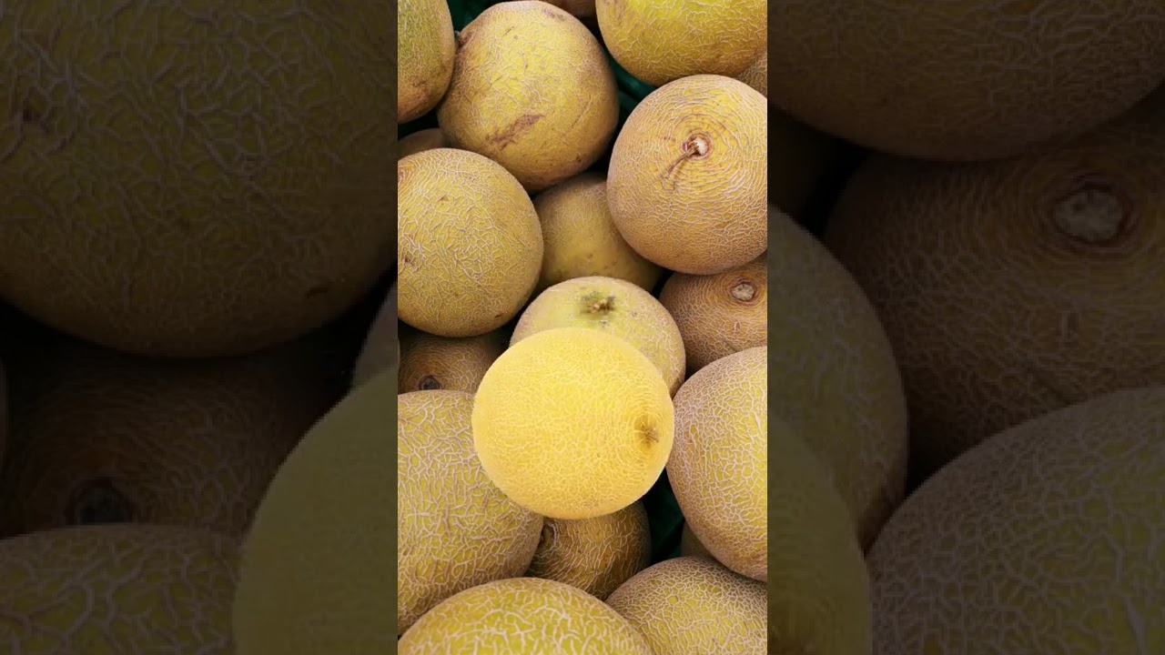 FRESH MELON || MUSKMELON So Yummy 😋 