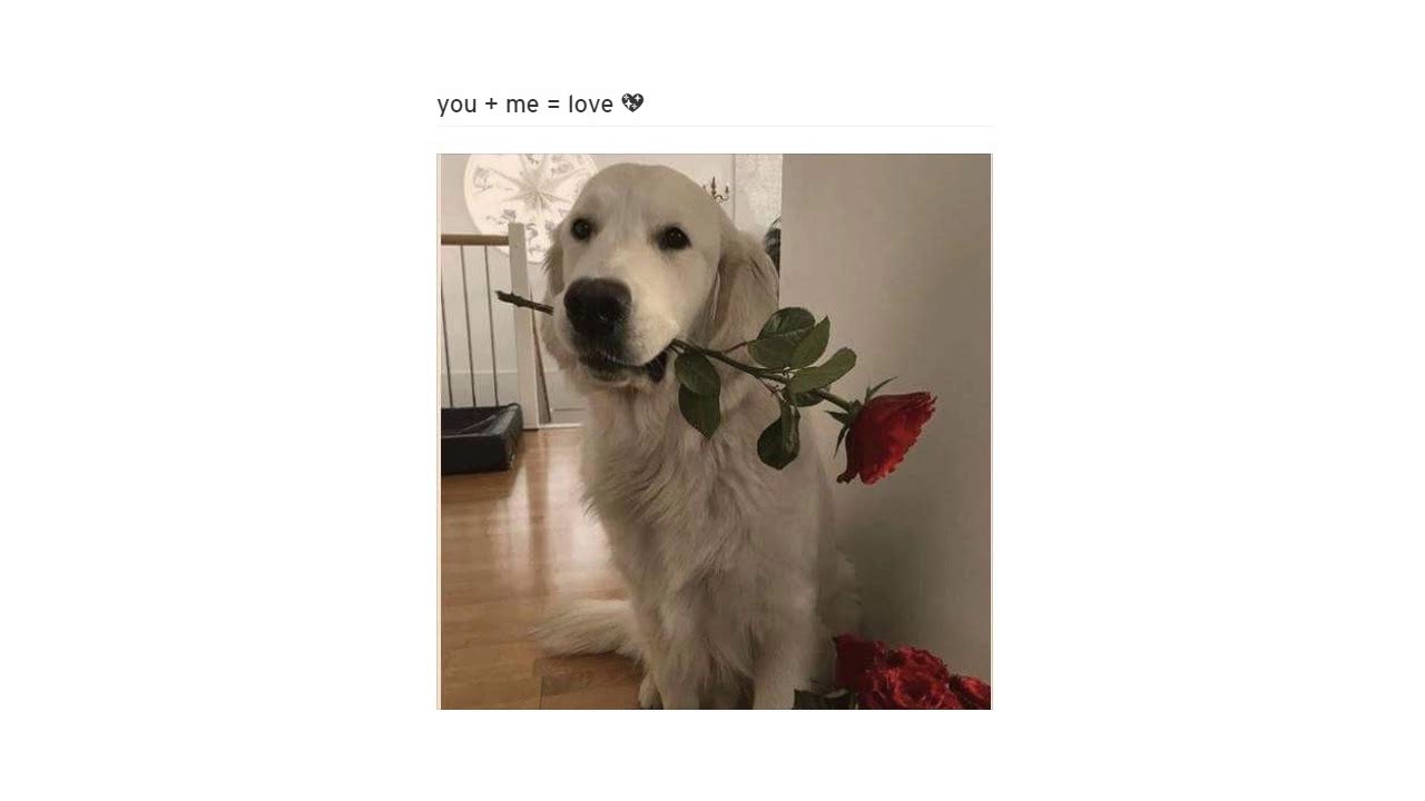 you + me = love 💖