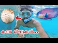 ക്യാമറയും ആയി കടലിൽ മുങ്ങിയതാ... പിന്നെ കണ്ടത്... | Snorkelling in Malidives | bookmytrip