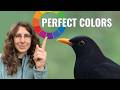 This Single Tool Changed How I Edit Colors Forever