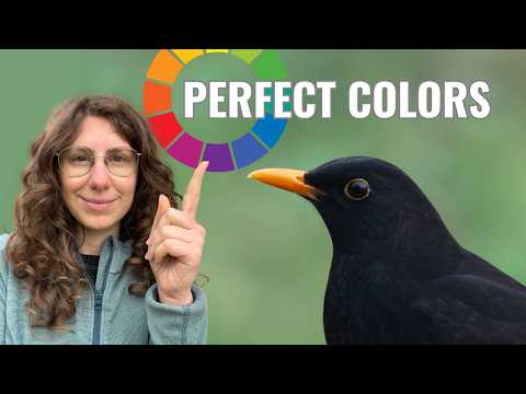 This Single Tool Changed How I Edit Colors Forever