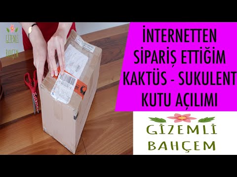 Video: Thryallis Bitki Bilgisi: Bahçede Büyüyen Thryallis Çalıları