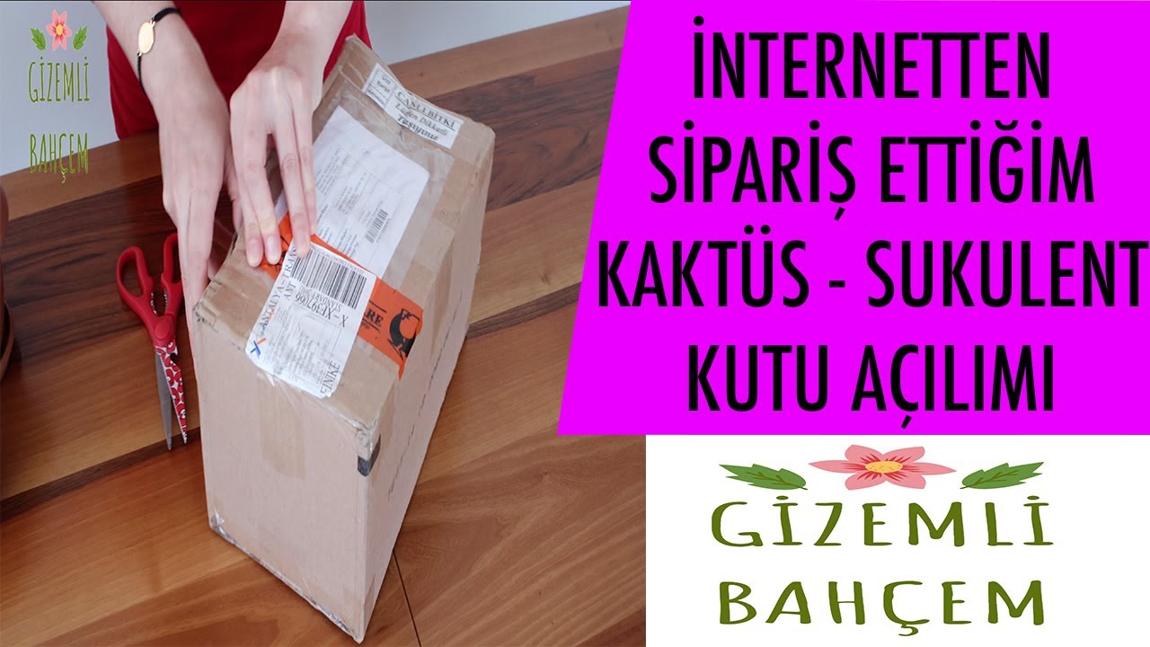 İNTERNETTEN KAKTÜS-SUKULENT SİPARİŞİ│KUTU AÇILIMI (Gizemli Bahçem)
