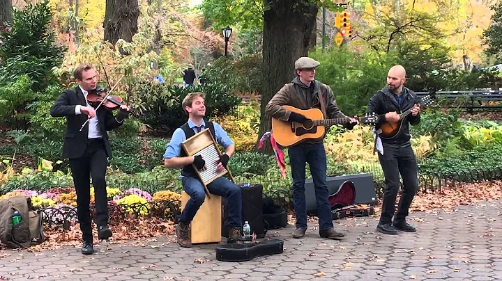 Banda esbanjando talento no Central Park em 22 de novembro de 2015.