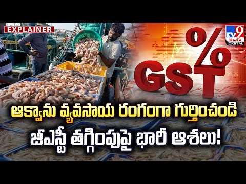 EXPLAINER : ఆక్వాను వ్యవసాయ రంగంగా గుర్తించండి...జీఎస్టీ తగ్గింపుపై భారీ ఆశలు! Eluru - TV9 - TV9