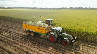 Maize Harvest John Deere 7450, Case Cvx, Fendt 724 Doornenbal, Contractor De Vries