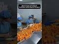 Want Cream & Patches? Go Direct to the Source Factory!