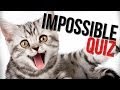 HARDEST GAME I'VE EVER PLAYED! - Impossible Quiz 2 - Part 3
