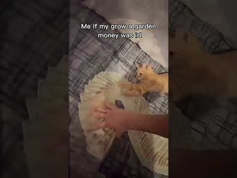 Grow A Garden Money SUBSCRIBE Roblox Memes 