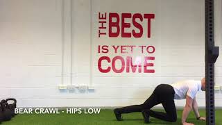 Bear Crawl - Hips Low