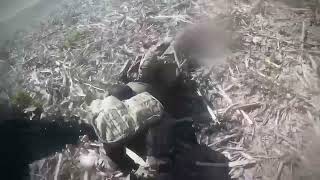 Russian special forces destroy Ukrainian militants