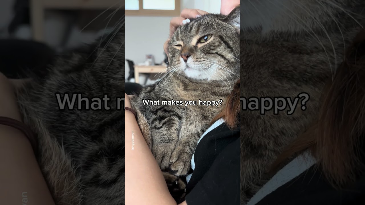 Even his little bit of spice makes me happy 