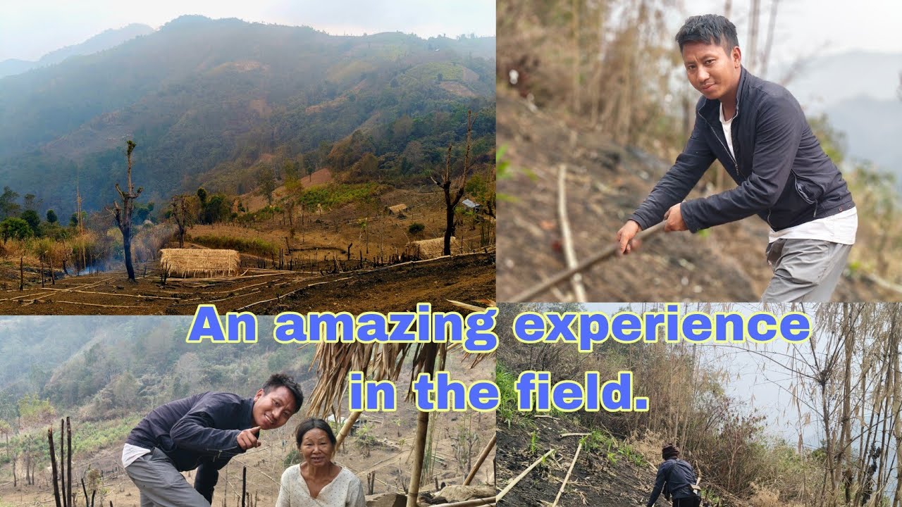 An amazing experience in the field.