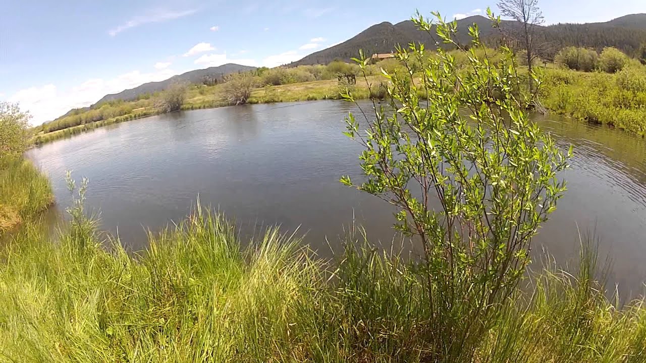 Junior Retriever Hunt Test YouTube junior-retriever-hunt-test-youtube