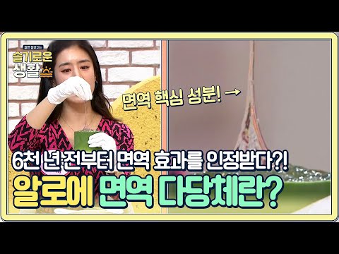 ★면역 끝판왕★ 6천 년 전부터 면역 효과를 인정받은 &amp;#39;알로에 면역 다당체&amp;#39;<strong>란</strong>!?#슬기로운생활 | wisereview <strong>EP</strong>.8